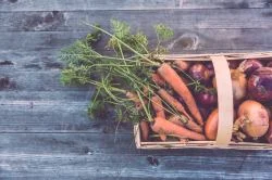 Why Eat More Root Veggies?
