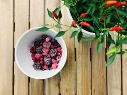 Voce conhece os alimentos da juventude?