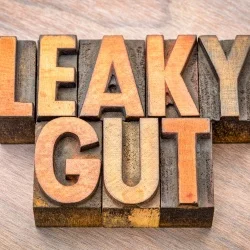 Você sabe o que é permeabilidade intestinal?