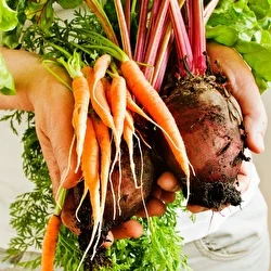Você aproveita a riqueza das cascas dos seus vegetais?