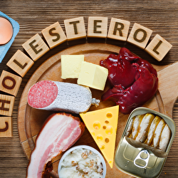 Por que APENAS mudar a alimentação não é suficiente para baixar o colesterol?