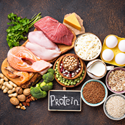 Será que você está ingerindo proteína suficiente?