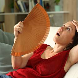 Formas naturais de amenizar os "fogachos" na menopausa