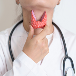 Alimentos essenciais para o bom funcionamento da Tireoide em Mulheres acima dos 35 anos