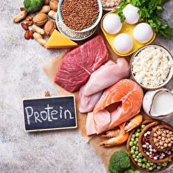Você sabe calcular a sua necessidade diária de proteína?