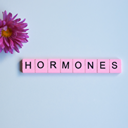 Ansiedade, Irritabilidade, Insônia? Como a Perimenopausa e a Menopausa Afetam Suas Emoções