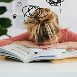 A perimenopausa começa no cérebro, não no útero!